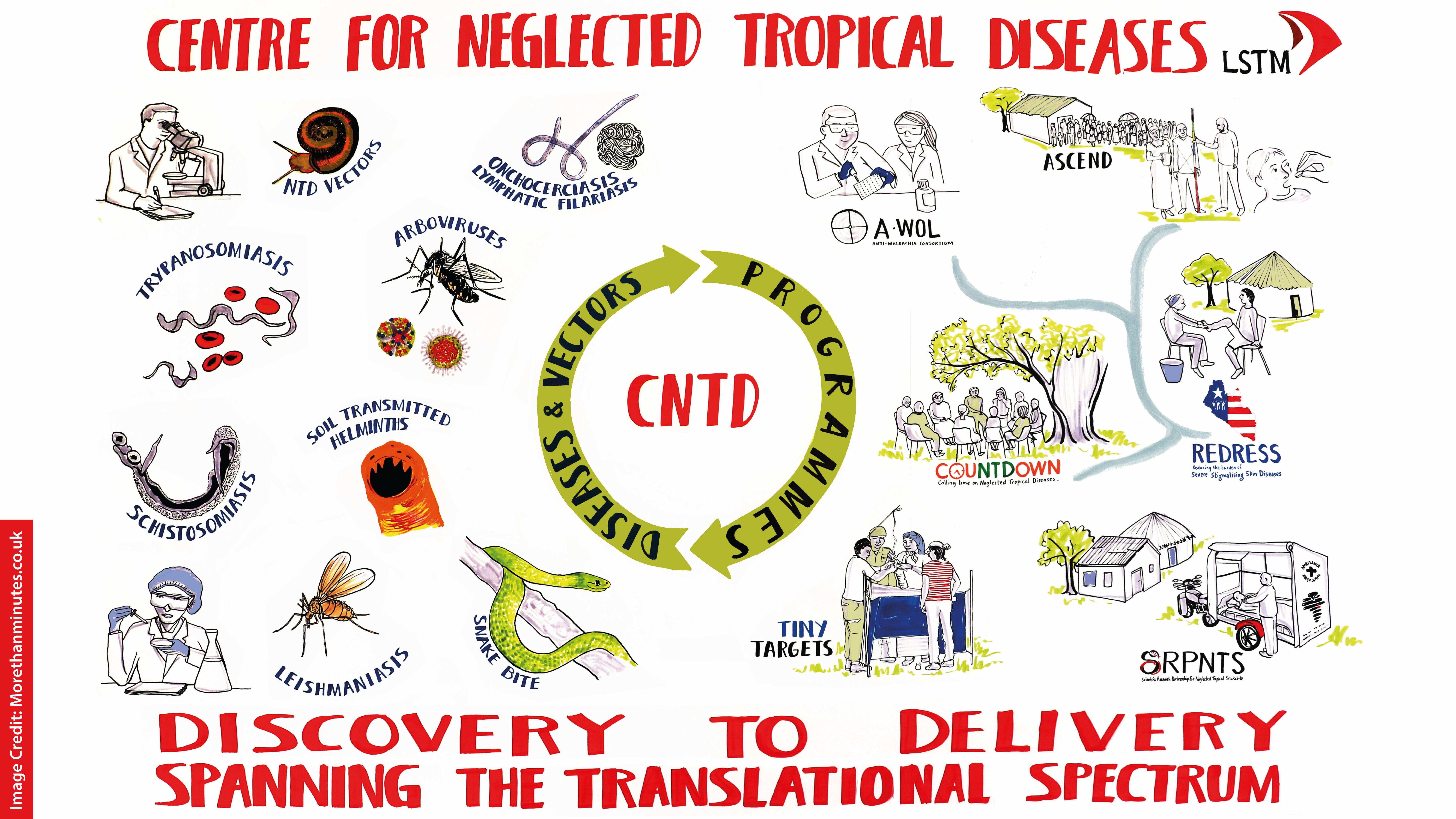 Ntd Meaning